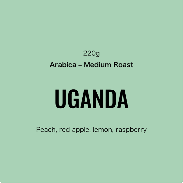 VENDUM, Uganda Bukhanakwa Fully Washed Speciality Coffee Beans - Image 2