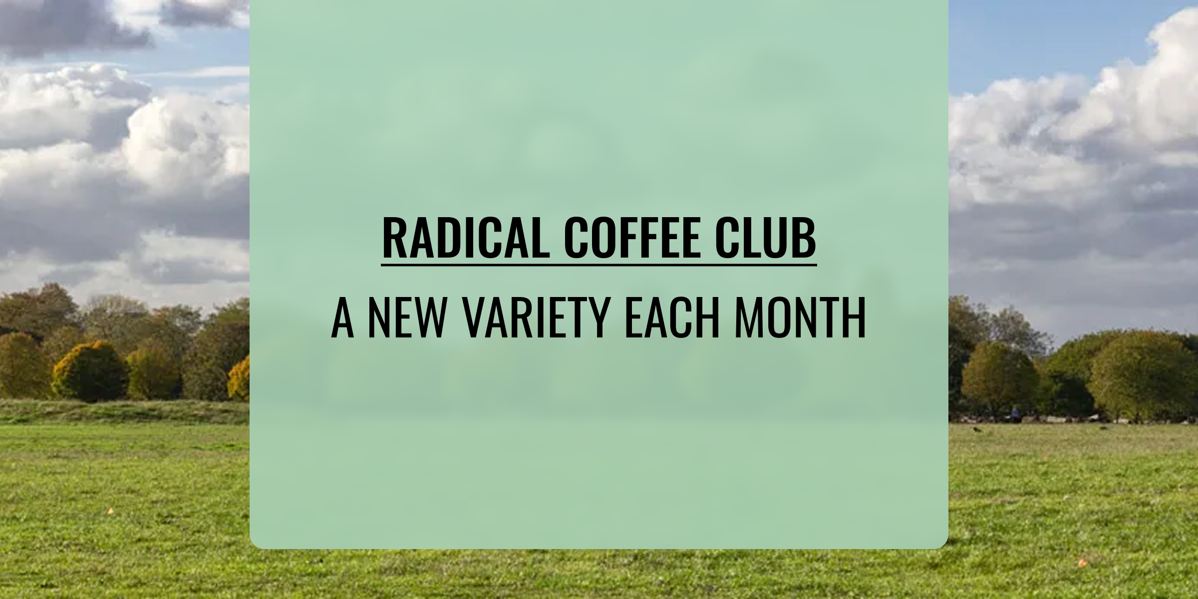 Radical coffee club – A new variety each month