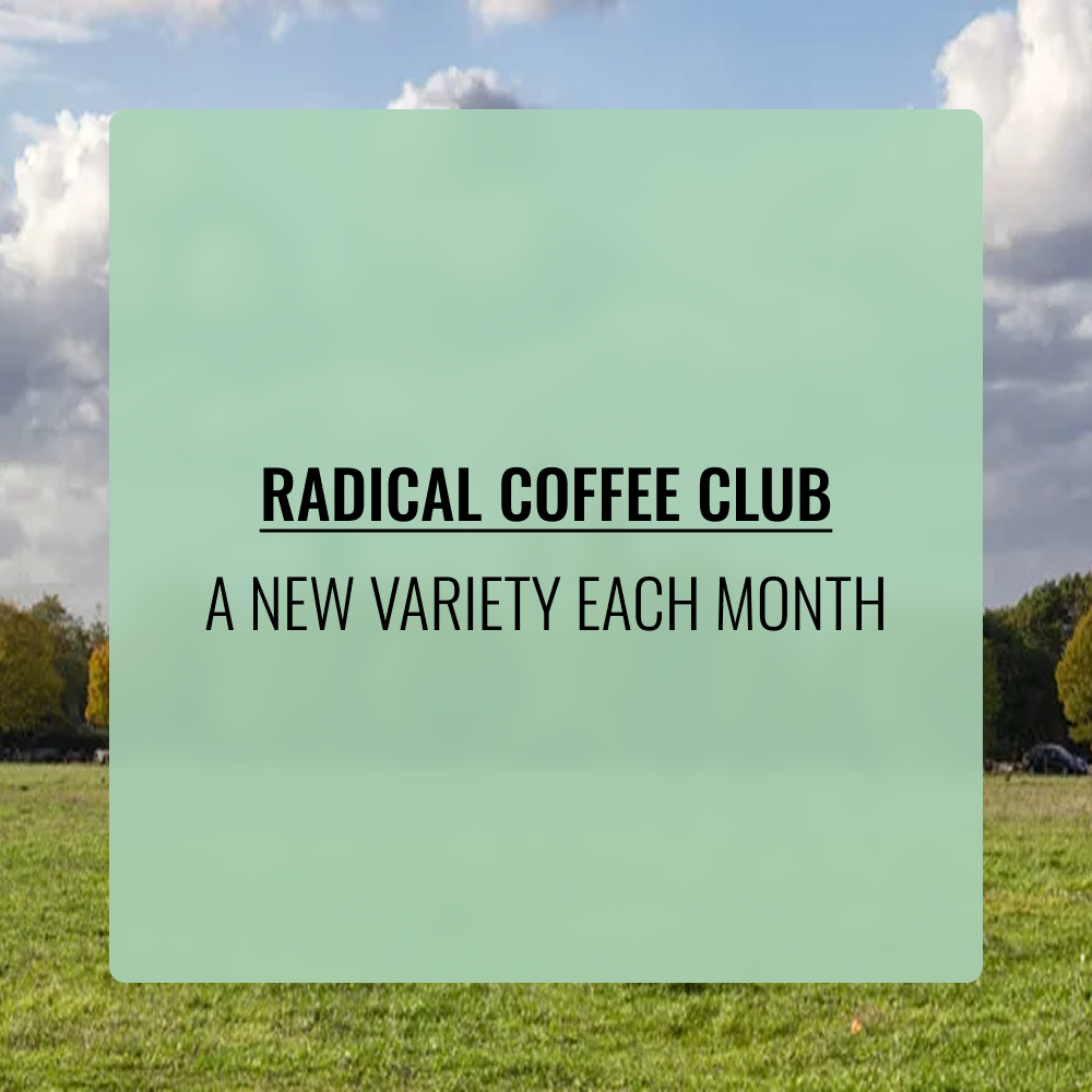 Subscribe free radical club 2